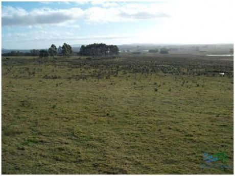 Oportunidad De Chacra 25 Hectareas En Venta, Ruta 12, Entre Solanas Y Ruta 9.