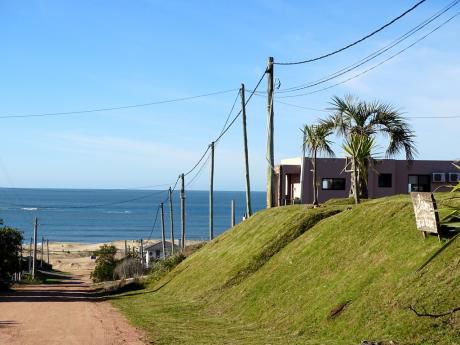 Las Palmeras De La Viuda