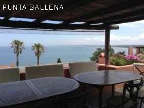 Apartamento En Alquiler 4 Dormitorios