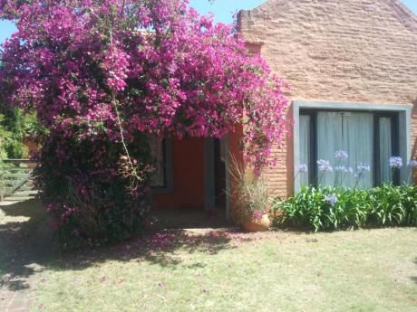 Casa En Alquiler 3 Dormitorios