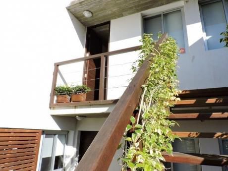 Apartamento En Alquiler 2 Dormitorios