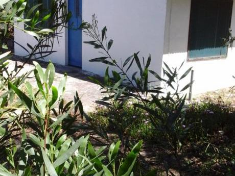 Vendo O Alquilo Casa, Con Escritura ,gran Terreno, A Dos De