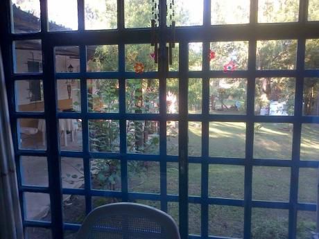 La Araucaria Costa Azul. Canelones. Libre Sólo Marzo Y Turis
