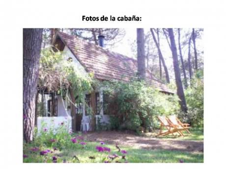 Cabaña En El Bosque