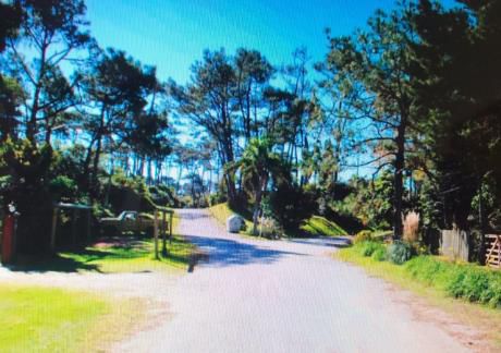 Alquilo Casa En Punta Del Este Con Piscina