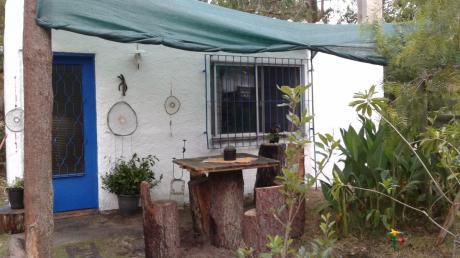 Casita En El Bosque Santa Ana