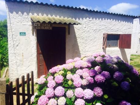 Alquilo Casa En Aguas Dulces A 100 Metros De La Playa!!!