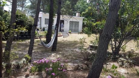 Casa En Alquiler Temporada En Cuchilla Alta