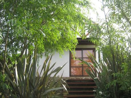 Cabañas En Antoniopolis La Paloma