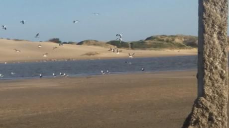 Casa En Alquiler Temporada En Barra De Valizas