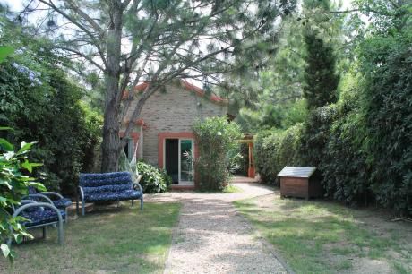 Casa En Alquiler Punta Del Este, Pinares