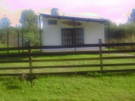 Casa En Alquiler Temporada En Bello Horizonte
