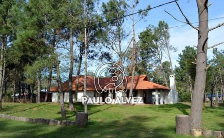 La Casita Del Bosque (414)