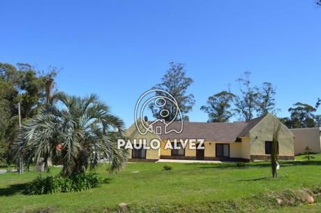ñuke (307)