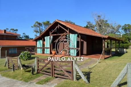 Punto De Ensueño (101)