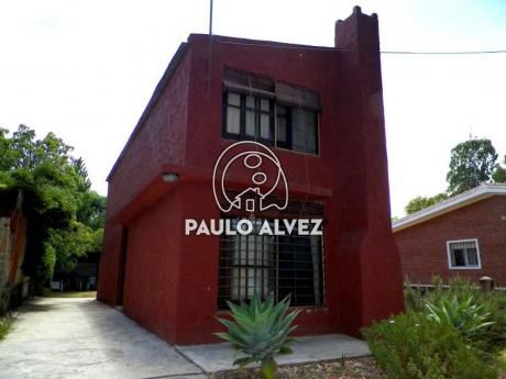 Gus Playa Grande (1131)