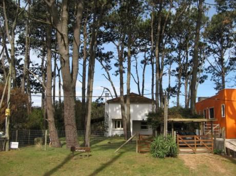 Casa "altamira" Parada 46 Mansa, Punta Ballena. A 80 Mts Del Mar.