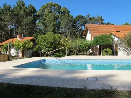 Les Colombes