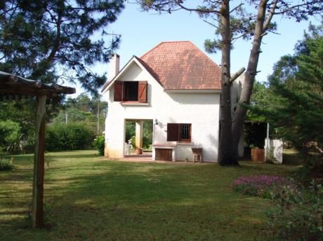 La Camomilla