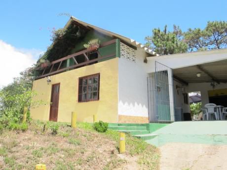 Canas