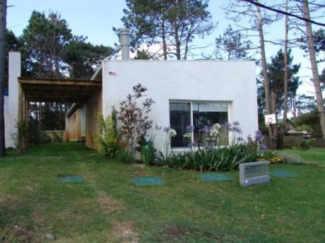 Verano Del 82
