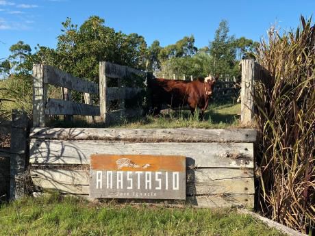 Estancia Anastasio