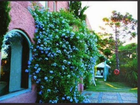 Casa En Venta 5 Dormitorios