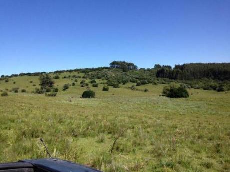 Campo En Venta
