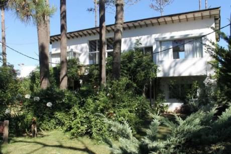 Casa Papiros, Zona Entre La Playa Montoya Y Manantiales