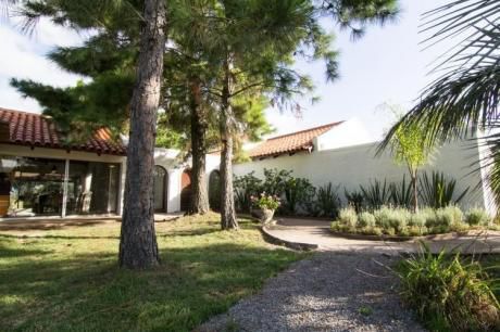 Casa Bosque - Mosaico