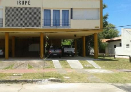 Irupe
