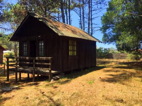Cabaña De Madera Monoambiente