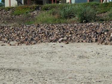 Casa Con El Jardín Sobre La Playa. Primera Línea.