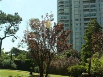 Parquemarr