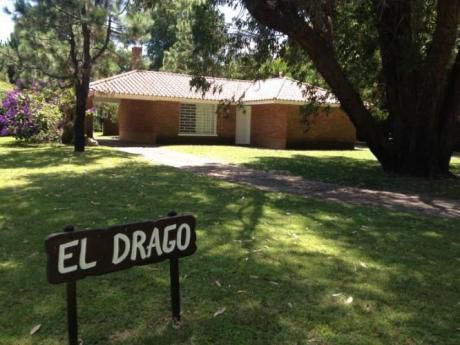 El Drago