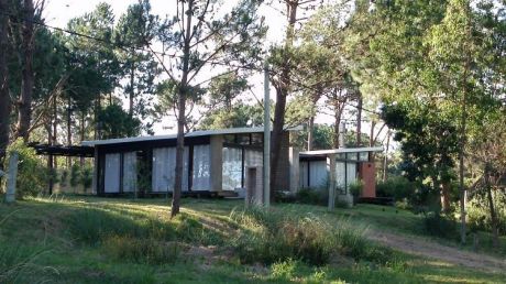 Pinares De Punta Colorada