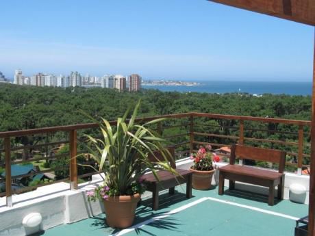 Apart Hotel Aptos. 2 Y 3 Ambientes Alquiler Temporario-club Sol Del Este