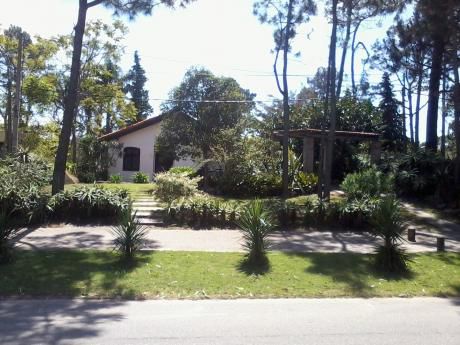 Sol Punta