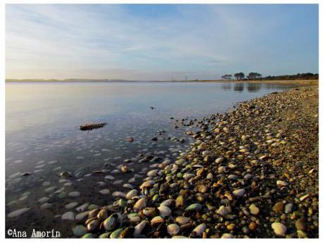 Laguna Garzón. Alquiler De Propiedades En Un Entorno único Entre Laguna Y Océano