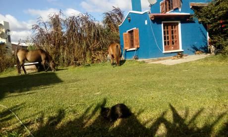 Oferta! Casa Azul