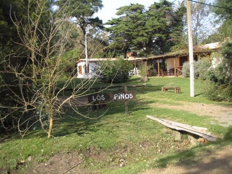 Los Pinos